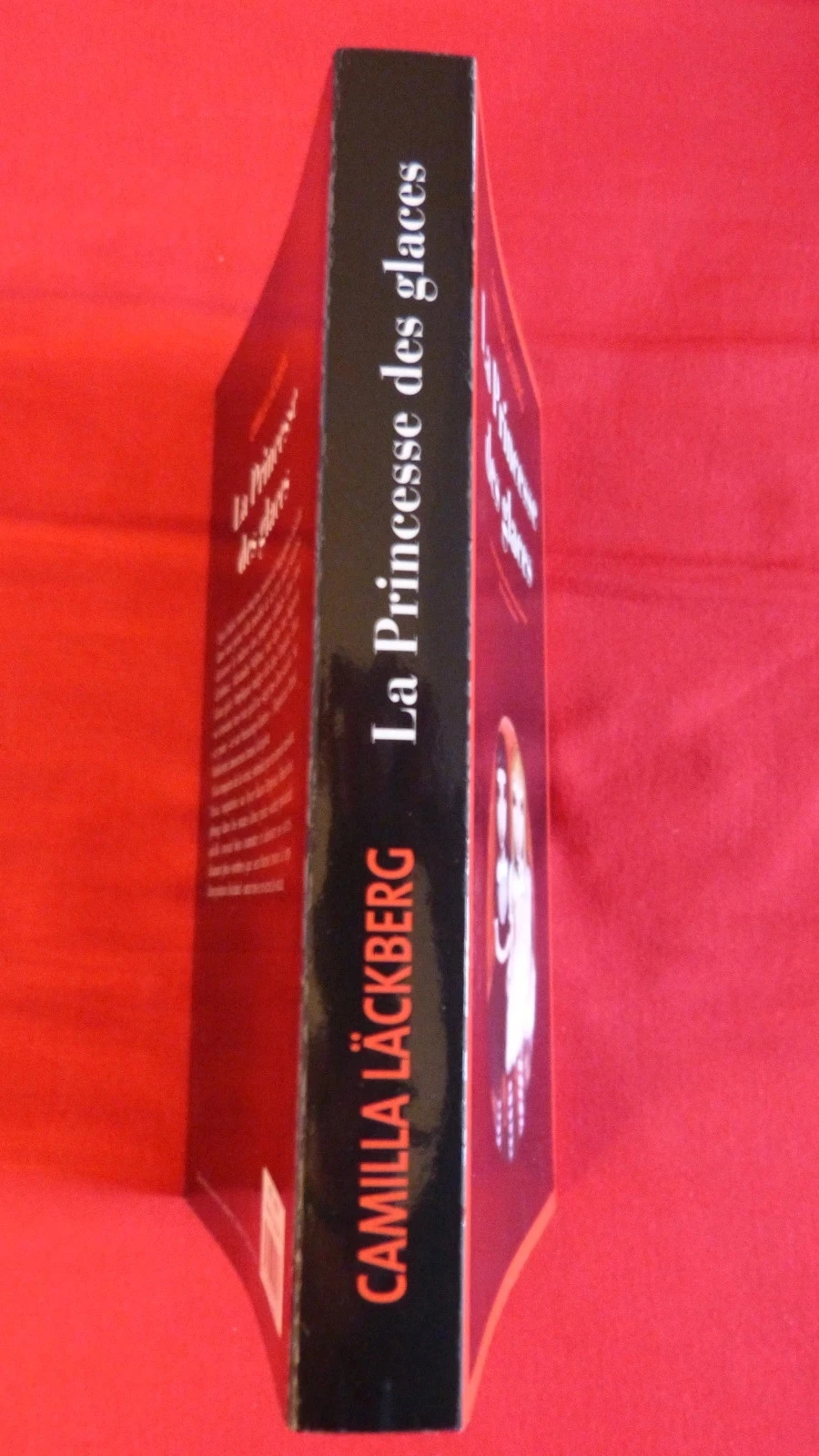 De ijsprinses – photo 3